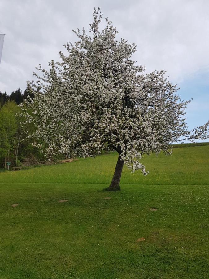 Berg Hotel Weingarten Garni Римстинг Екстериор снимка