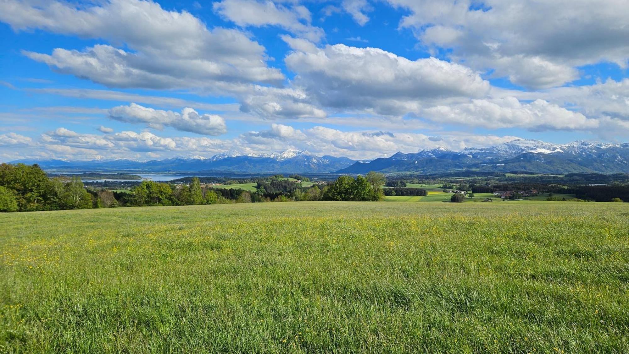 Berg Hotel Weingarten Garni Римстинг Екстериор снимка
